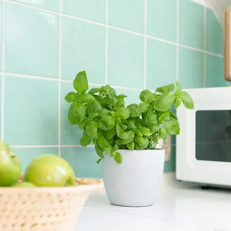 شقة Am Brook 3 Strandliebe